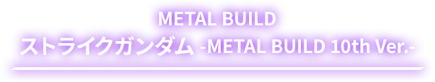 METAL BUILD Strike METAL BUILD 10th Ver.-